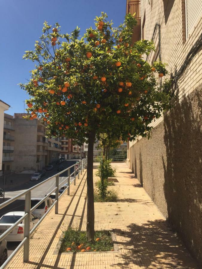 Apartment Sunny Harbour Santa Pola Dış mekan fotoğraf
